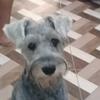 Edith Norgi Obregon - @edithnorgiobregon - TikTok