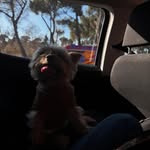 Edith Obrien - @youweipuria - Instagram