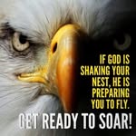 Edith O’Brien - @elo4usa - Instagram