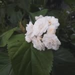 Edith Ojo - @edithyojo - Instagram