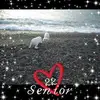 Edith Olea - @edith.olea - TikTok