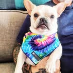 EDITH.OLIVE.YOU - @edith.olive.you - Instagram