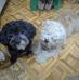 Edith Orbe - Facebook