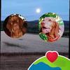 Edith Orosz - @edith.orosz - TikTok