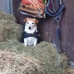 Edith Otte - Facebook