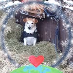 Edith Otte - @edith_otte - Instagram