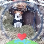 Edith Otte - Facebook