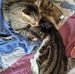 Edith Otto - Facebook