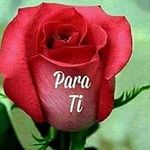 Marta Edith Rivas Ovando - @rivasovando - Instagram