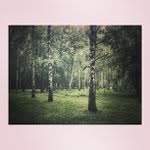 Edith Owens - @geoepyli - Instagram