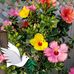 Edith Padgett - Facebook