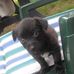 Edith Pairel - Facebook