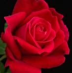Edith Palacios - Facebook
