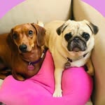 Edith e Pandora - @edithepandora - Instagram