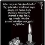 Edith Szász Papp - @ecokaszasz95 - Instagram