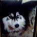 Edith Borek - Facebook