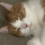 Edith Parent - @edithparent911 - Instagram