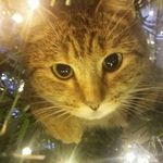 edith parent - @edith_didier - Instagram