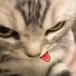 Edith Partida - @fr.lola9 - Instagram