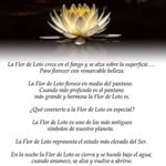 Edith Partida Miramontes - @edithpartidamiramontes - Instagram