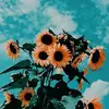 edithpatel352 - @katsinunderpants - TikTok