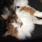Edith Francis Patton - @elegantedith - Instagram