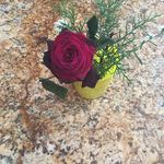 Edith Paz - @edith.paz.334 - Instagram
