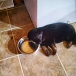 Edith Peace - Facebook