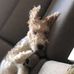 Edith Bang Pedersen - Facebook