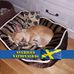 Edith Pedersen - Facebook