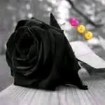Edith Yaneli Peña - @edithpena297 - Instagram