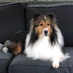 Penny Edwards Odegard - @edith_anne_penny - Instagram