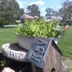 Edith Perkinson - @edithperkinson - Instagram