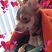 Edith Perron - Facebook