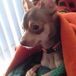 Edith Perron - @perronedith - Instagram