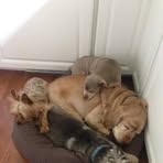 Edith Pettit - Facebook