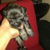 Edith Pinate - Facebook