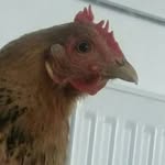edith&co - @edith_plume_et_maya - Instagram
