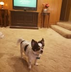 Edith Plumlee - Facebook