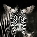 Edith Bekou - Facebook