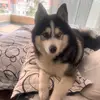 Edith Posada Mama - @edith.posada.mama - TikTok