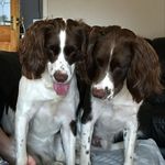 Edith Potts - @pottse77 - Instagram