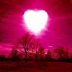 Edith Provost - Facebook
