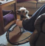 Edith Provost - Facebook