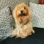 Edith Puente - @edithpuente1 - Instagram