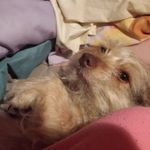 Edith L Putnam - @edithlputnam - Instagram