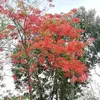 edithrabanales - @edithrabanales - TikTok