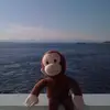 Edith Ramirez - @dannetramirez4 - TikTok