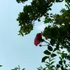 edithramon350@gmail.com - @edithramon350gmai - TikTok