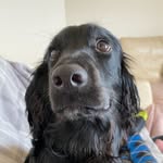 Edith Flopsy Rand - @edithflopsy - Instagram